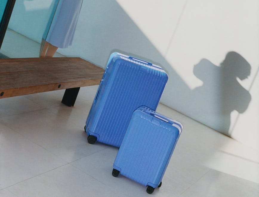 baggage person suitcase