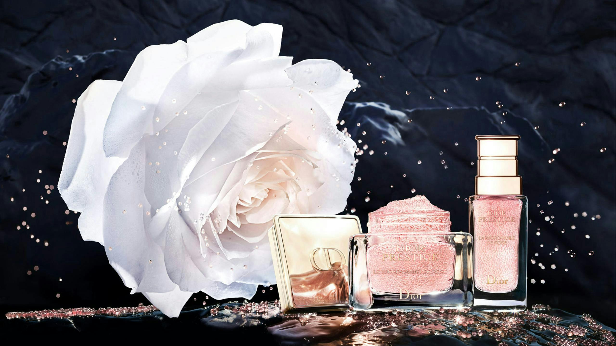 perfume cosmetics bottle petal plant flower blossom rose